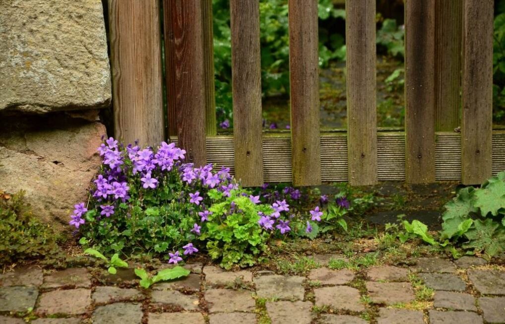 płot gabion